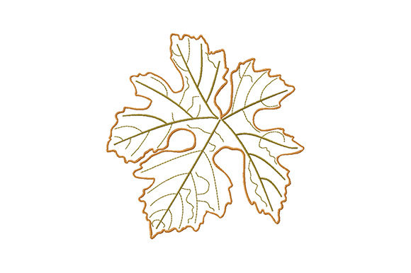 Single Autumn Falling Leaf: A Designer's Review